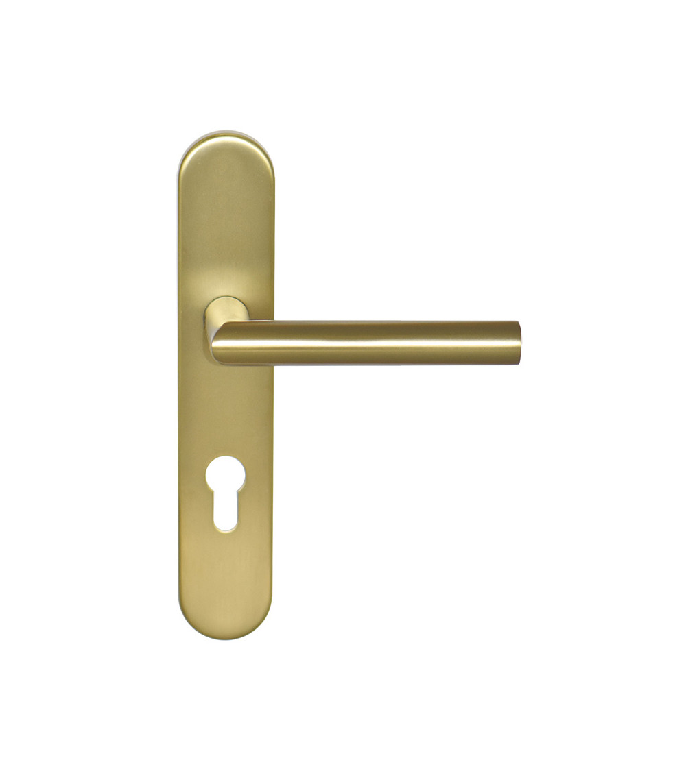 Tirador Altesse Oro Satinado sobre placa cilindro ea70 EUROWALE