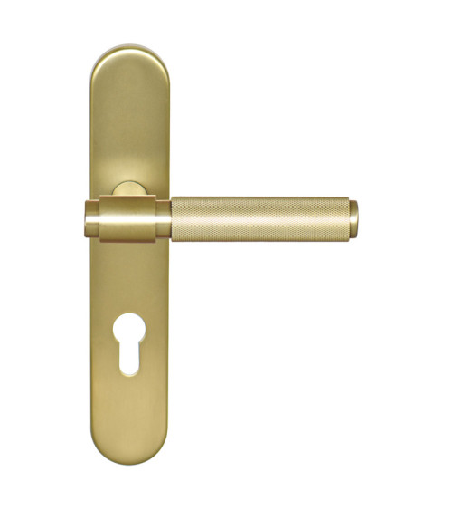 Tirador Cers Oro Satinado PVD sobre placa cilindro ea70 EUROWALE