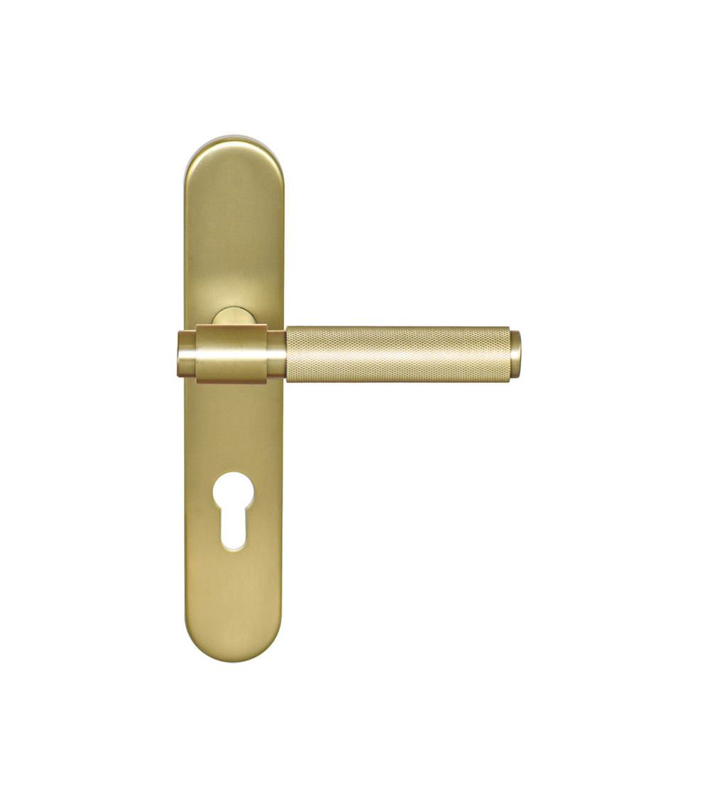 Tirador Cers Oro Satinado PVD sobre placa cilindro ea70 EUROWALE