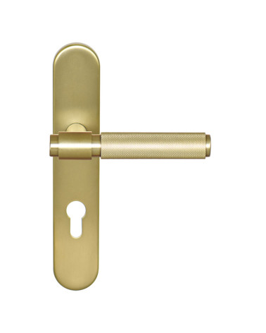 Tirador Cers Oro Satinado PVD sobre placa cilindro ea70 EUROWALE