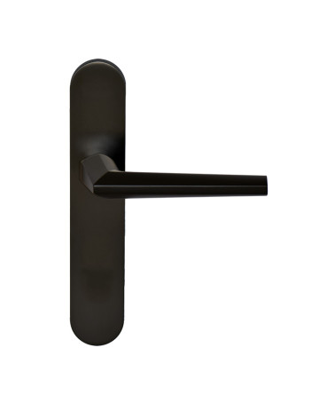Palanca Loo negra sobre placa ciega