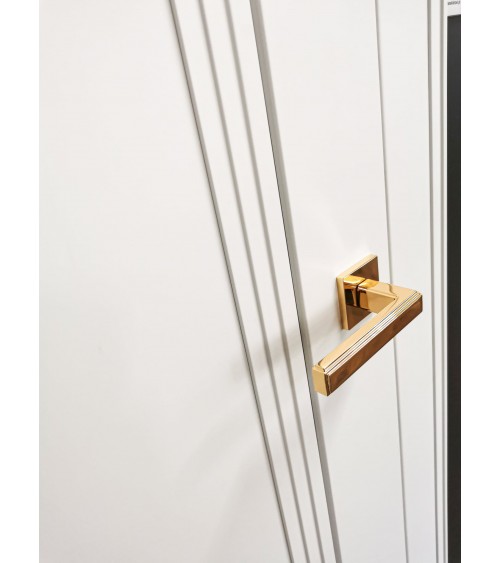 Tirador de puerta oro pulido RAFLESIA tirador de diseño