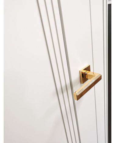 Tirador de puerta oro pulido RAFLESIA tirador diseño montado en una puerta
