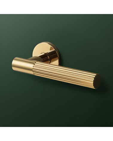 Tirador de puerta oro pulido LIVIA manilla de diseño destacada sobre un fondo verde