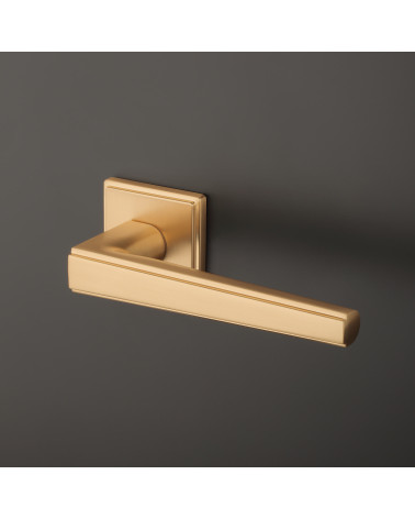 Tirador de puerta contemporáneo SYRINGA diseño sobre un fondo