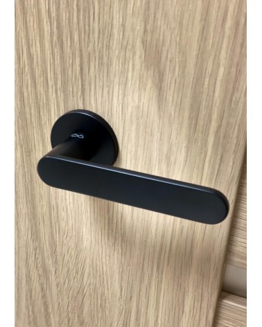Tirador de puerta negra Line Vénus tirador de diseño montado en una puerta
