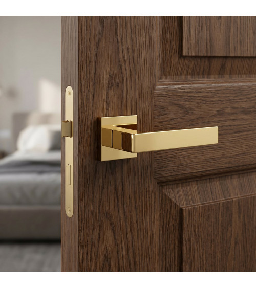 Manija de puerta oro pulido Apollo manija design