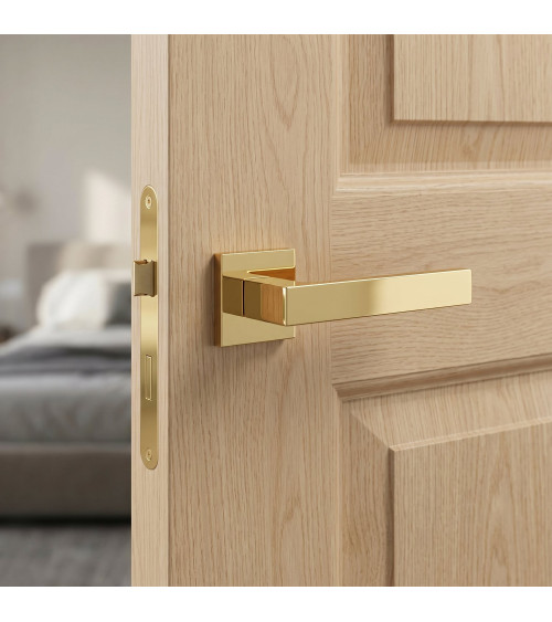 Manija de puerta oro pulido Apollo manija design