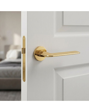 Tirador de puerta dorada pulida STINGER