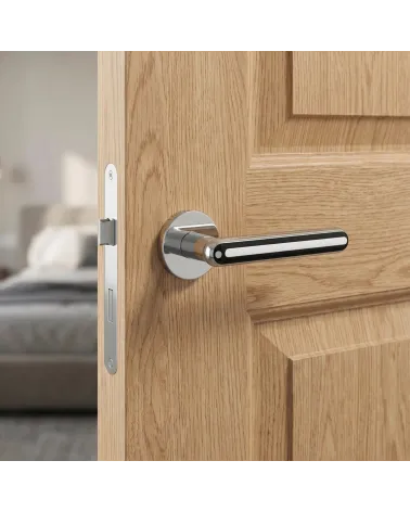 Manecillas de puerta modernas ASTERIA