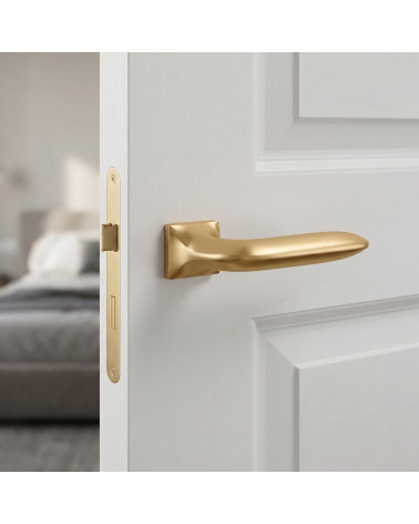 Tirador de Puerta en Oro Pulido Elegante y Brillante - Modelo GLADIOLA