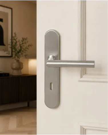 Tirador de puerta sobre placa de 165 mm acabado inox cepillado – modelo Altesse