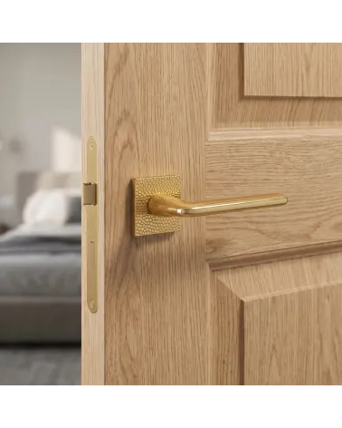 Tirador de Puerta Oro Pulido para una decoración lujosa - Modelo TUPAI 4165-T1