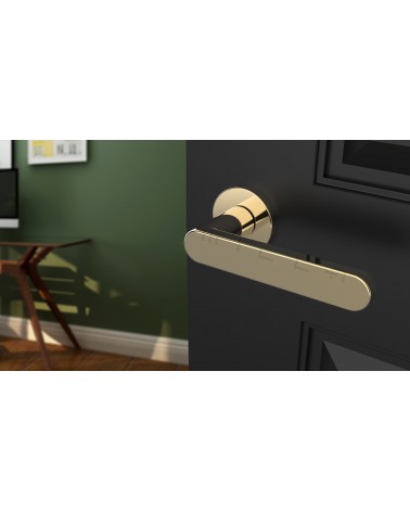 Tirador de puerta dorada pulida ALORA tirador de diseño vista inclinada montada en una puerta