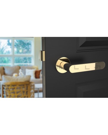Tirador de puerta dorada pulida ALORA tirador de diseño vista frontal montada en una puerta