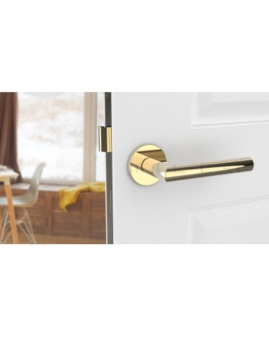 Tirador de puerta color oro pulido ARABIS tirador de diseño montado en una puerta