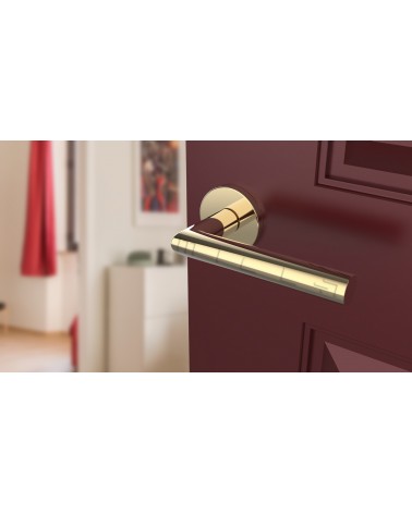 Tirador de puerta color oro pulido ARABIS tirador de diseño montado en una puerta ligeramente abierta