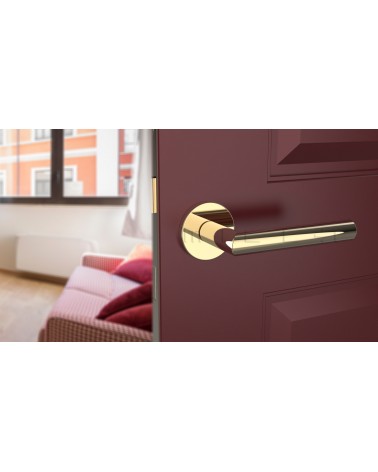 Tirador de puerta color oro pulido ARABIS tirador de diseño vista inclinada montado en una puerta