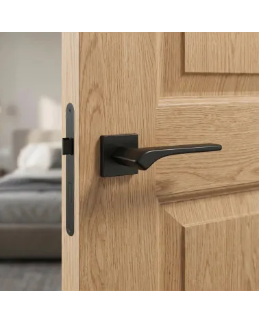 Manilla de puerta contemporánea para una decoración minimalista - BERGERIA