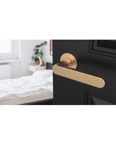 Manija de puerta dorada mate ALORA manija de diseño vista inclinada montada en una puerta