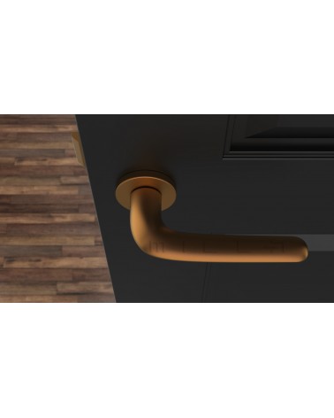 Manija de puerta Cobre AZALIA manija de diseño vista desde arriba montada en una puerta
