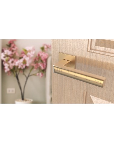 Tirador de puerta dorado mate SALICE herrajes de diseño vista inclinada montada en una puerta