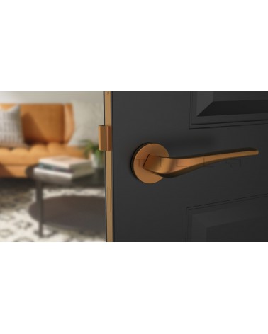 Tirador de puerta cobre DALIA tirador de diseño vista frontal montada en una puerta
