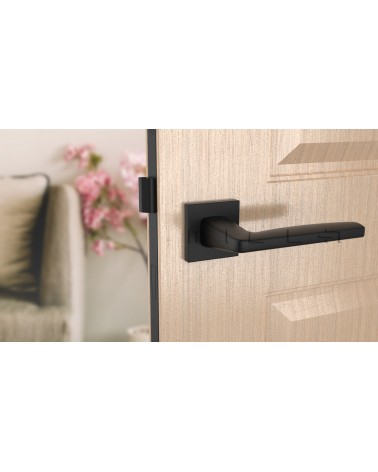 Manija de puerta negra ERBA manija de diseño vista frontal montada en una puerta