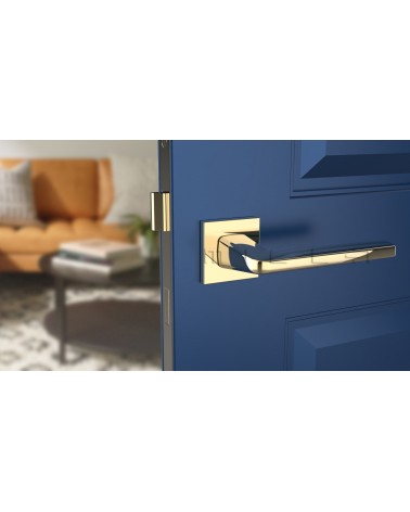 Manija de puerta oro pulido ERBA manija de diseño vista frontal montada en una puerta