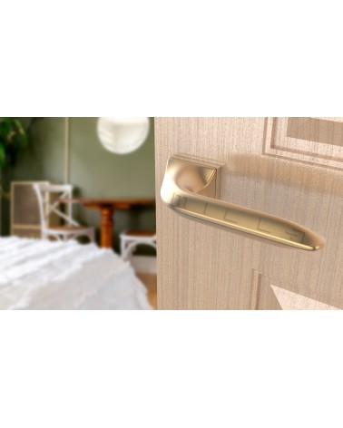 Tirador de puerta oro mate GLADIOLA tirador de diseño vista inclinada montada en una puerta