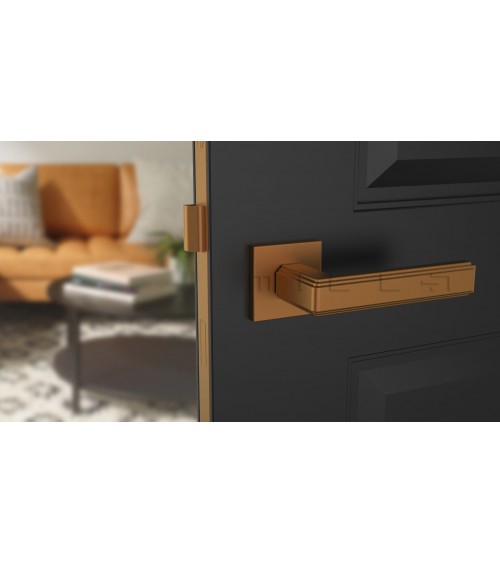 Tirador de puerta moderna RAFLESIA tirador de diseño