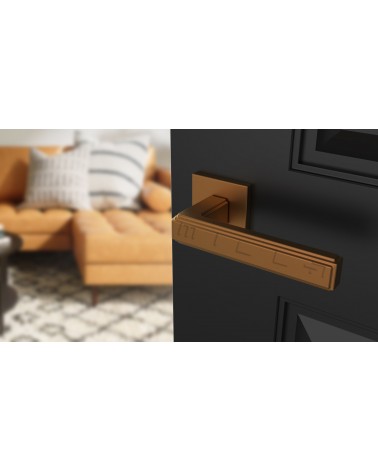 Tirador de puerta moderna RAFLESIA tirador de diseño de color 1 montado en una puerta azul oscura abierta