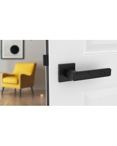 Tirador de puerta negra RAFLESIA tirador de diseño montada en una puerta