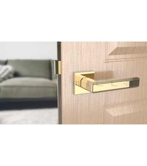 Tirador de puerta oro pulido RAFLESIA tirador de diseño