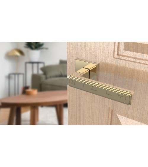 Tirador de puerta oro pulido RAFLESIA tirador de diseño