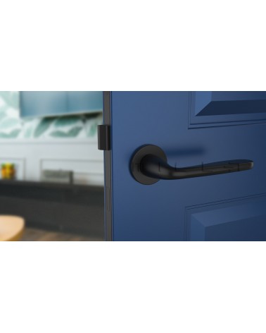 Manija de puerta contemporánea HIACYNTA manija de diseño vista de frente montada en una puerta