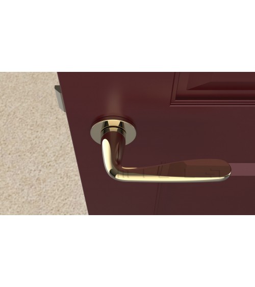 Tirador de puerta dorado pulido HIACYNTA tirador de diseño