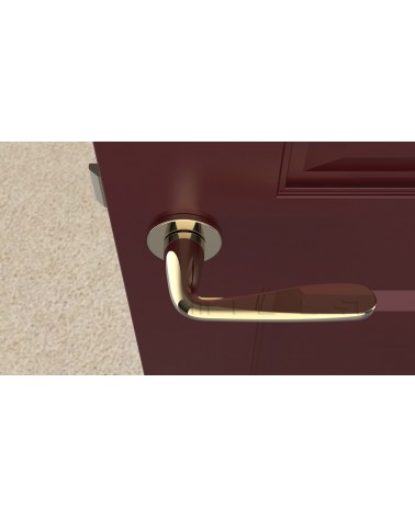 Manija de puerta dorado pulido HIACYNTA manija de diseño vista desde arriba montada en una puerta
