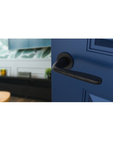Manija de puerta contemporánea HIACYNTA manija de diseño vista desde arriba inclinada montada en una puerta