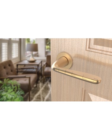 Manilla dorado mate HIACYNTA manilla de diseño vista superior inclinada montada en una puerta