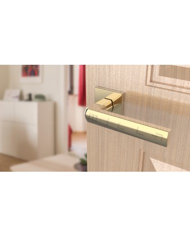 Tirador de puerta oro pulido HOSTA ferretería design vista inclinada montada en una puerta