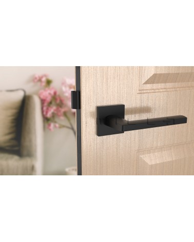 Tirador de puerta negra PYROLA herrajes de diseño vista frontal montada en una puerta