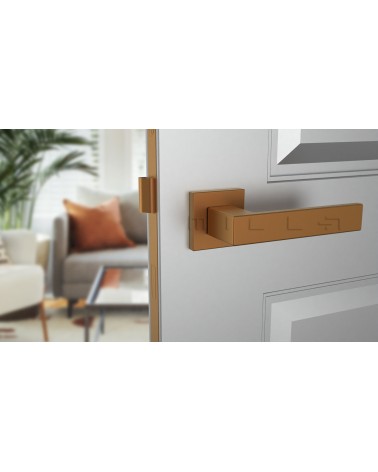 Tirador de puerta PINA en cobre diseño vista frontal montada en una puerta