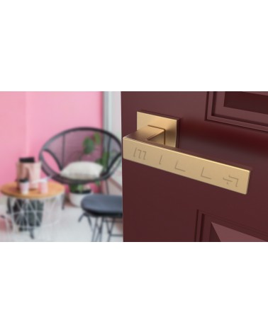 Manilla oro mate PINA manilla de diseño vista inclinada montada en una puerta