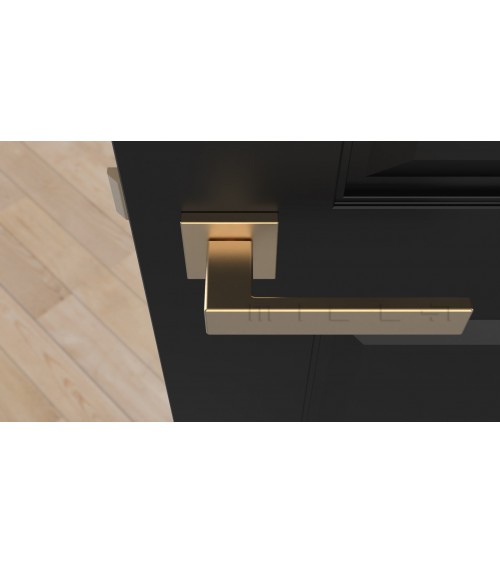Tirador de puerta clásica PINA tirador de diseño