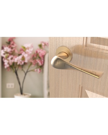 Manecilla de puerta moderna PETUNIA herraje de diseño vista superior inclinada montada en una puerta
