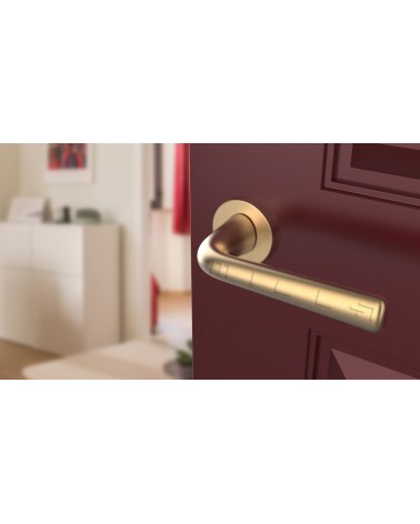 Tirador de puerta dorado mate TULIPA puerta interior de diseño vista inclinada montada en una puerta