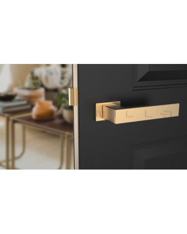 Tirador de puerta moderna PINA manilla de diseño vista frontal montada en una puerta