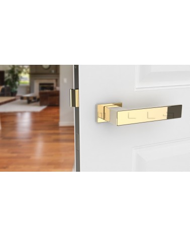 Manilla oro pulido PINA manilla design vista frontal montada en una puerta
