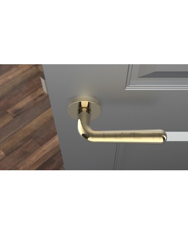 Manivela de puerta Retro IRGA diseño color 5 montada en una puerta